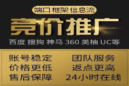 SEM公司案例分析：搜索引擎优化策略与执行